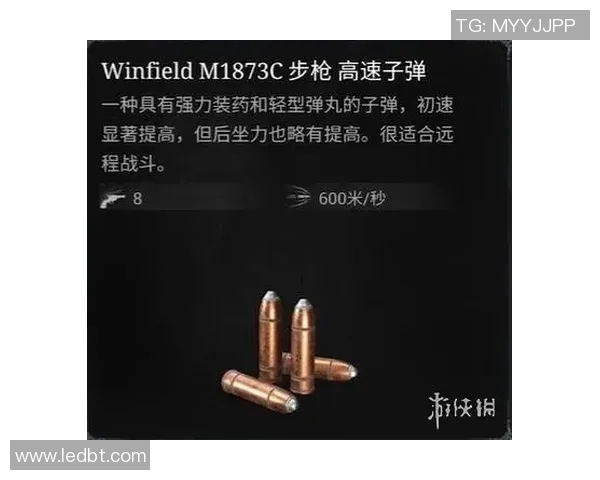 布里斯班子弹与大班对决精彩回顾与赛季展望分析 布里斯班子弹与大班对决精彩回顾与赛季展望分析