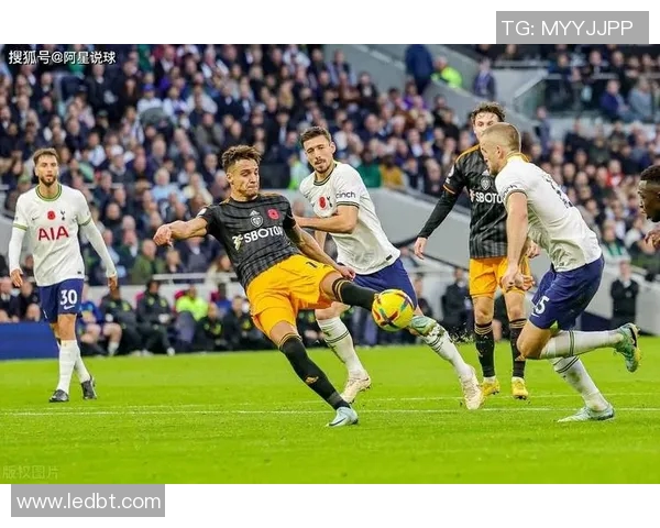 热刺与布莱顿历史交锋回顾及战绩分析