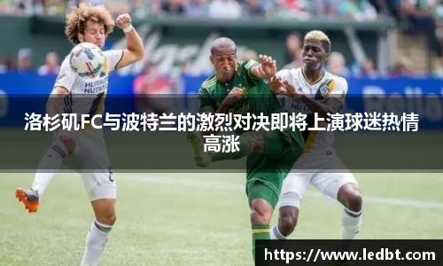 V66在线